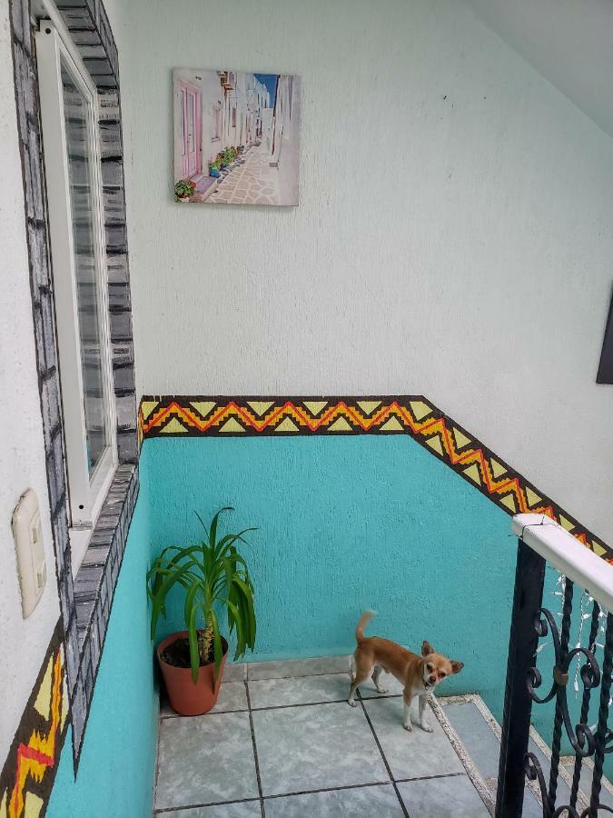 Posada Paso Del Sol Isla Mujeres Eksteriør bilde